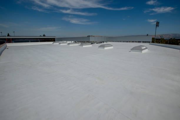 Best Roof Maintenance and Cleaning  in Hagerman, ID